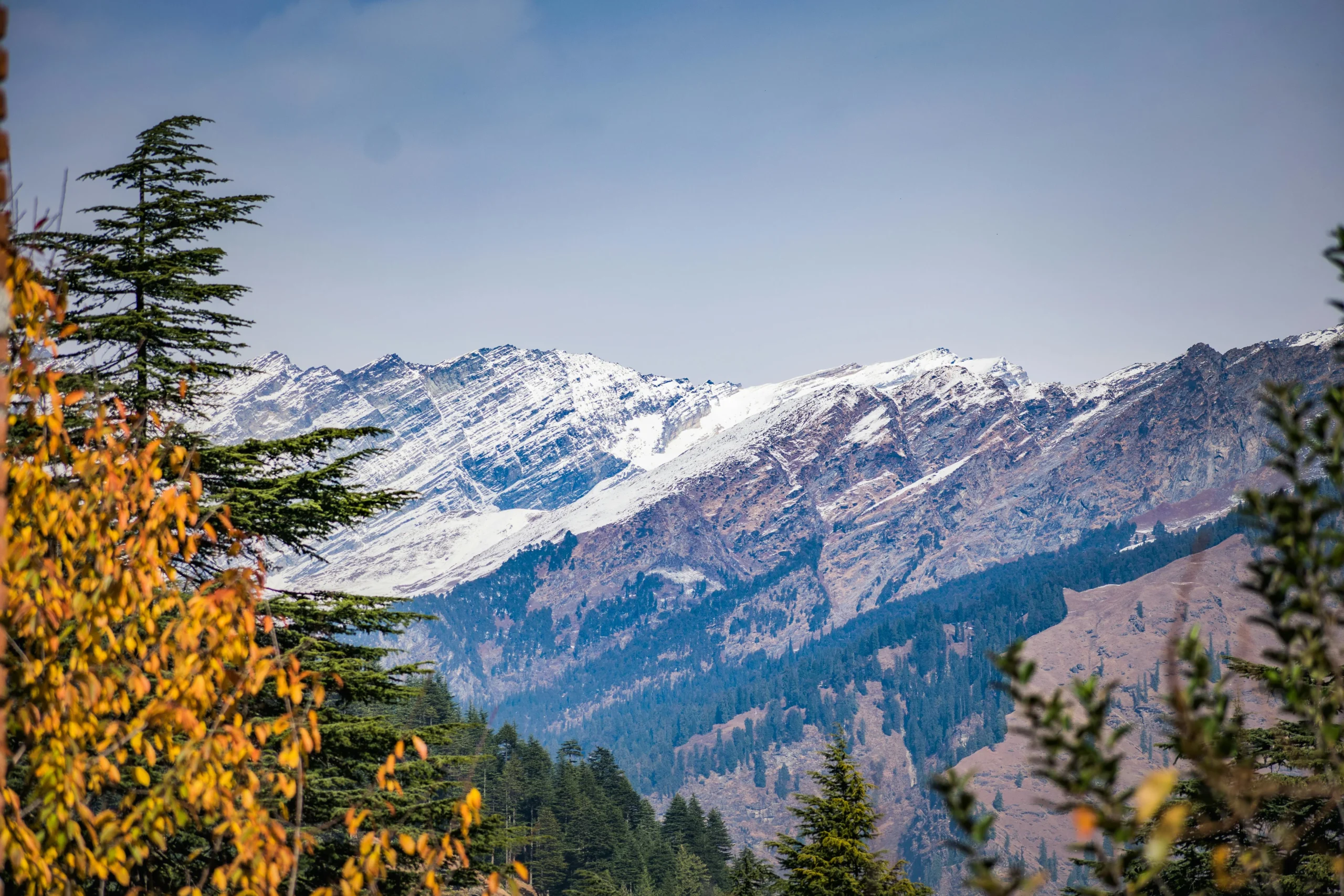 Hatu Peak Trek